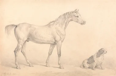 Portraits of a Gray Horse and a Black and White Spaniel, the Property of the Right Honorable C. Arbur